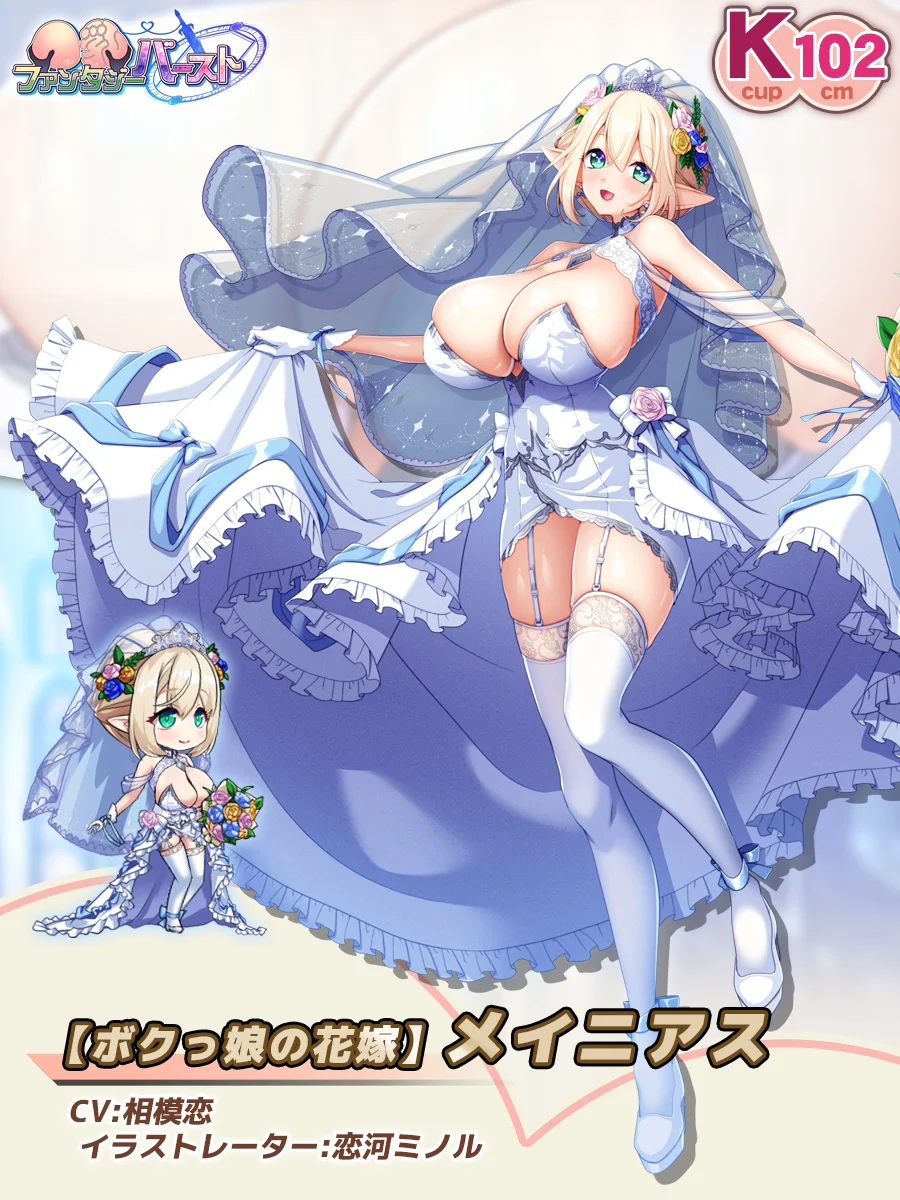 Tomboy Bride Meinias Paladin Introduction card (JP)