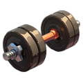 300kg Dumbbell