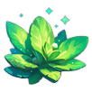 Mangrove Leaf