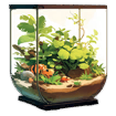 Terrarium