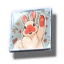 Avatar: Cute Bunny