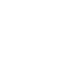 Duet icon