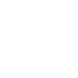Bullet Waltz icon