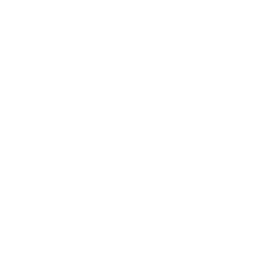 Puffloon Spits icon
