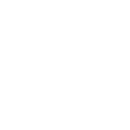 Laurel Halo icon