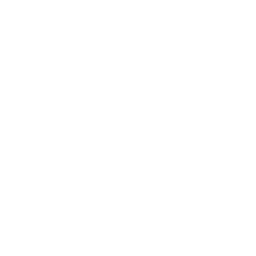 Double Tempest icon