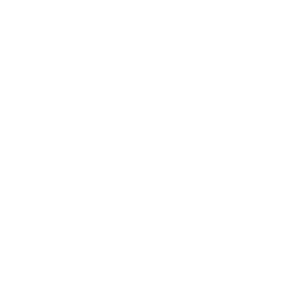 Melodic Seraphim icon