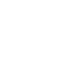 Blitz Assault icon