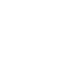 Torrent Flash icon