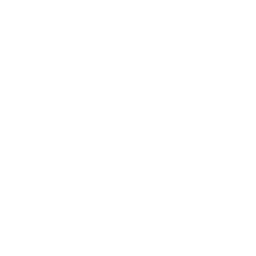 Bone Chain icon