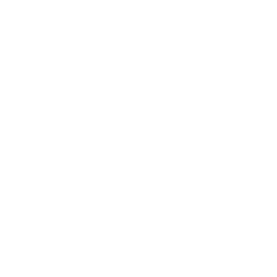 Piercing Shot icon