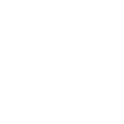 Armed Assault icon