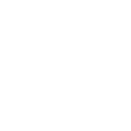 Firestorm icon