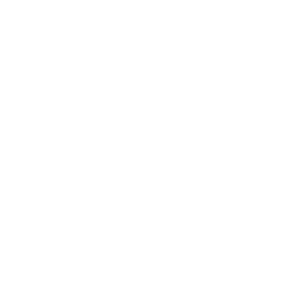 Starflare Pursuit icon