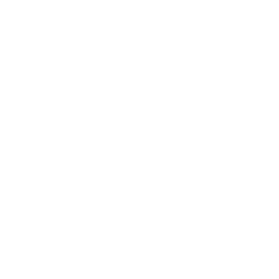 Stellar Torrent icon