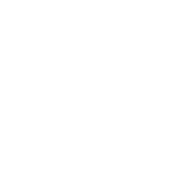 Elegant Parade icon