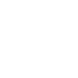 Immediate Execution icon
