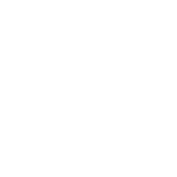 Arctic Vortex icon