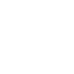 Thunder Palm icon