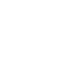 Thunder Strike icon