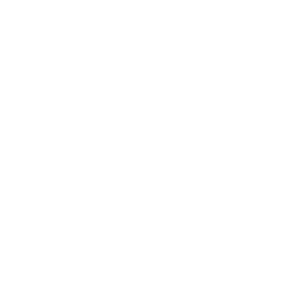 Sweeping Blast icon