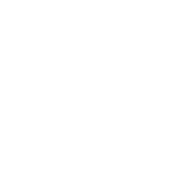Thunderfall Thrust icon
