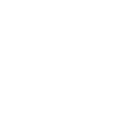 Bat and Skate icon