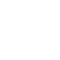 Flowers Dance icon