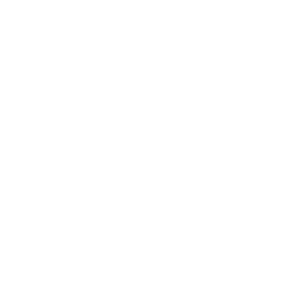 Flowers Bloom icon