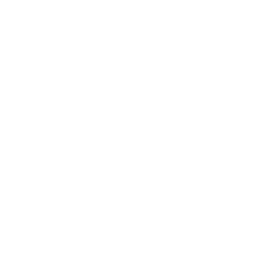 Bingo Crush icon