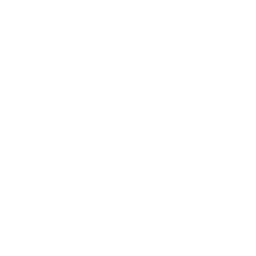 Sonic Slash icon
