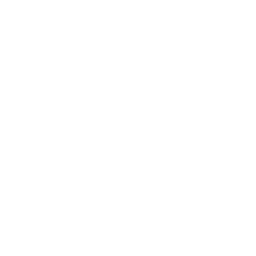 Void Blossom icon