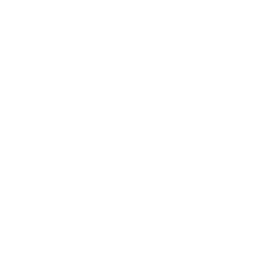 Floral Storm icon