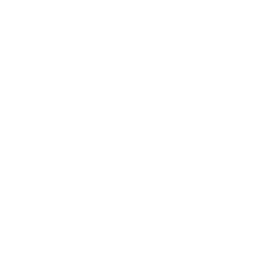 Surfing Rondo icon