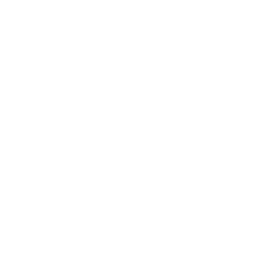 Divine Deluge icon