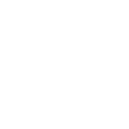Flood Mantra icon