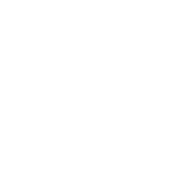 Whip Assault icon