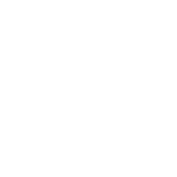 Rabbit Pie Tempo Switch icon