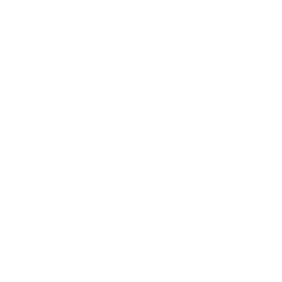 Homing Bunny Volley icon