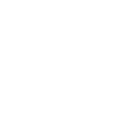 Evergreen Needles icon