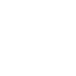Sonic Bubble icon
