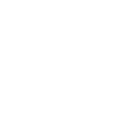 Slicing Riptide icon