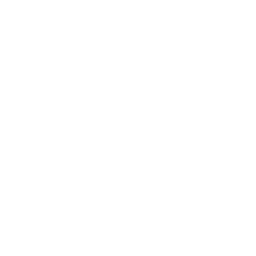 Aegis Intervention icon