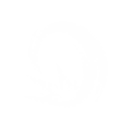 Rolling Bungee icon