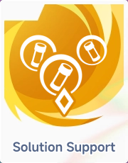 Solution Support