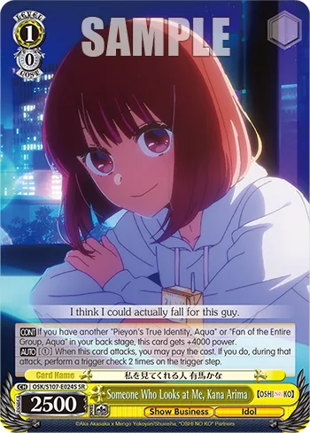 Someone Who Looks at Me, Kana Arima
