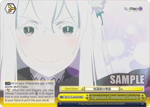 Expression of Intellectual Curiosity