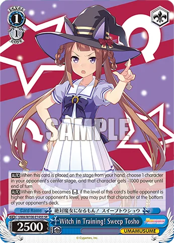 Witch in Training! Sweep Tosho