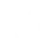 Skota Rune